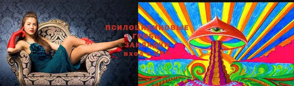 герыч Алзамай